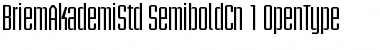 Briem Akademi Std Semibold Condensed Font