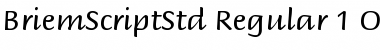 Briem Script Std Regular Font