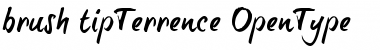 brush-tipTerrence Regular Font