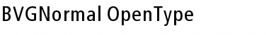 BVGNormal Font