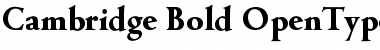 Cambridge-Bold Regular Font