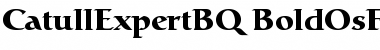 Catull Expert BQ Font