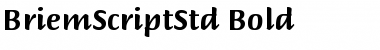 Briem Script Std Bold Font