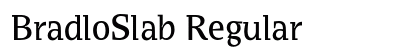 BradloSlab Regular preview