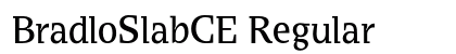 BradloSlabCE Regular preview