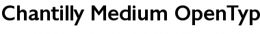 Chantilly-Medium Regular Font