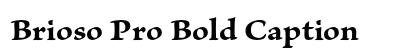 Brioso Pro Bold Caption Preview