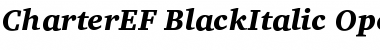 CharterEF BlackItalic Font