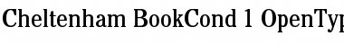 ITC Cheltenham Book Condensed Font