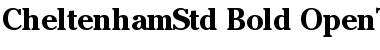 ITC Cheltenham Std Font