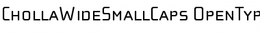 ChollaWideSmallCaps Roman Font