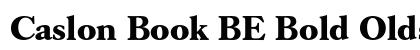 Caslon Book BE Bold Oldstyle Figures preview