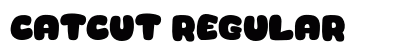 Catcut Regular preview