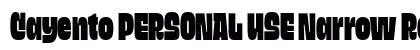 Cayento PERSONAL USE Narrow Regular preview