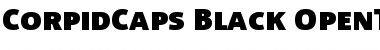 Corpid Caps Font