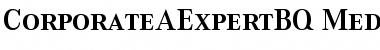 Corporate A Expert BQ Regular Font