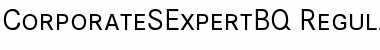 Corporate S Expert BQ Regular Font