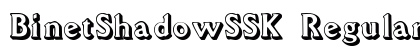 BinetShadowSSK Regular preview