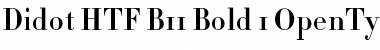 Didot HTF-B11-Bold Font