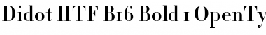 Didot HTF-B16-Bold Font