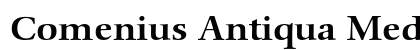 Comenius Antiqua Medium Preview
