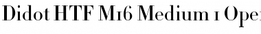 Didot Font