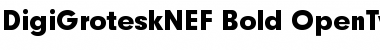 DigiGroteskNEF-Bold Regular Font