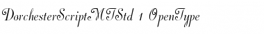 Dorchester Script MT Std Font