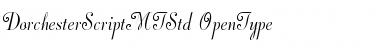 Dorchester Script MT Std Font