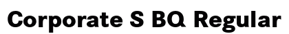 Corporate S BQ Regular Preview