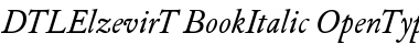 DTL Elzevir T Book Italic Font