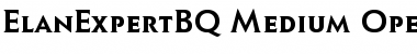 Elan Expert BQ Regular Font