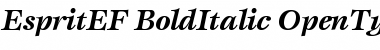 EspritEF BoldItalic Font