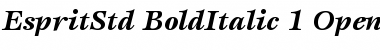 ITC Esprit Std Bold Italic Font