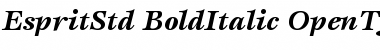 ITC Esprit Std Bold Italic Font