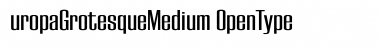 EuropaGrotesqueMedium Font