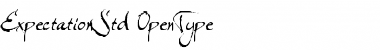 Download Expectation Std Font Download Expectation Std Font