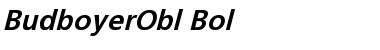 BudboyerObl-Bol Regular Font