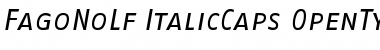 FagoNoLf ItalicCaps Font