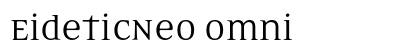 EideticNeo Omni Preview
