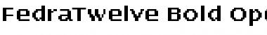 FedraTwelve Bold Font