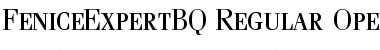 Fenice Expert BQ Font