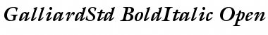 ITC Galliard Std Bold Italic Font