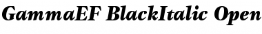 GammaEF BlackItalic Font