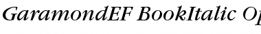 GaramondEF BookItalic Font GaramondEF BookItalic Font