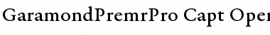 Garamond Premier Pro Caption Font Garamond Premier Pro Caption Font