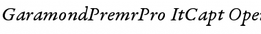 Garamond Premier Pro Italic Caption Font