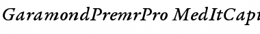 Garamond Premier Pro Medium Italic Caption Font