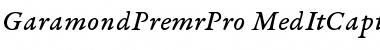 Garamond Premier Pro Medium Italic Caption Font