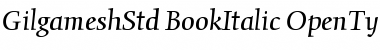 Gilgamesh Std Book Italic Font